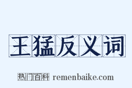 王猛反义词是什么意思的图片